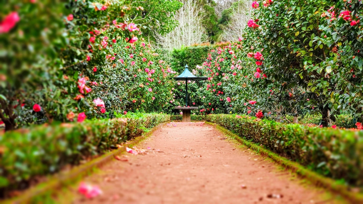 Création florale 3